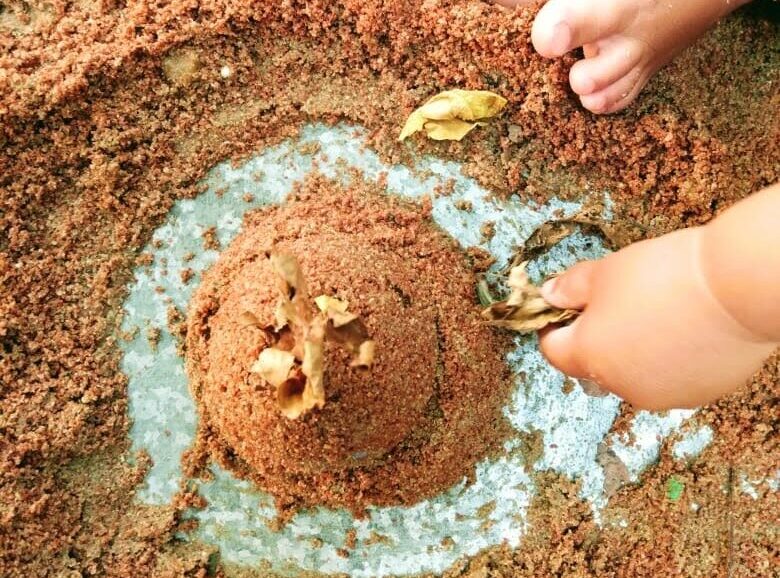 Cópia de Cópia de Cópia de IMG_3961 1