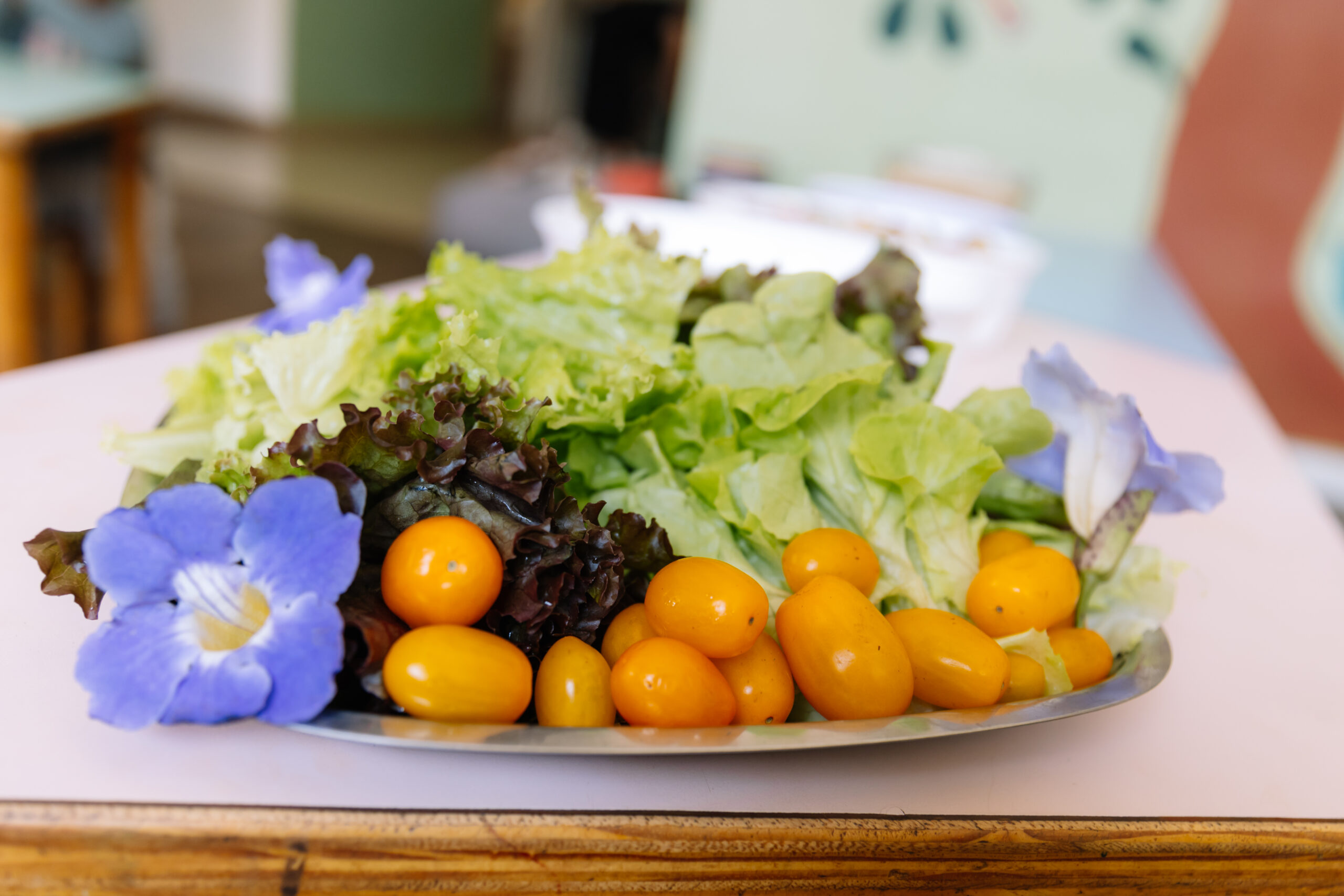 Cópia de PURIALMOÇO-6