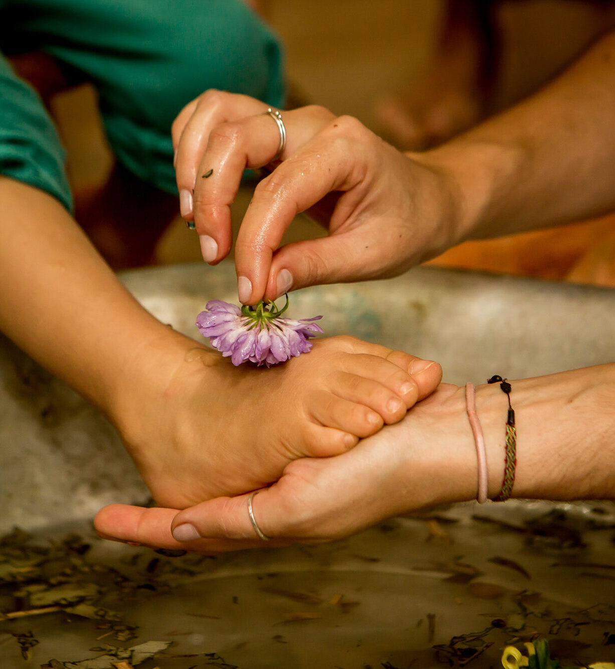 encerramento puri 2019