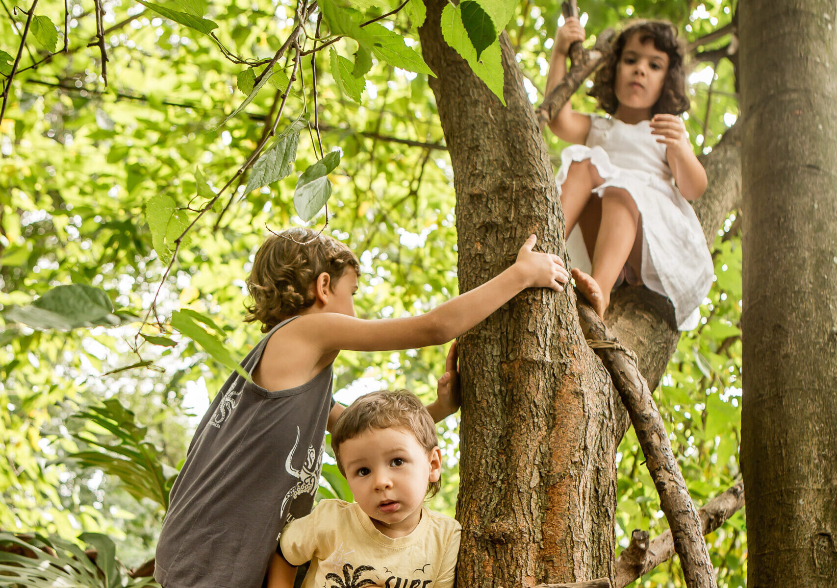 encerramento puri 2019