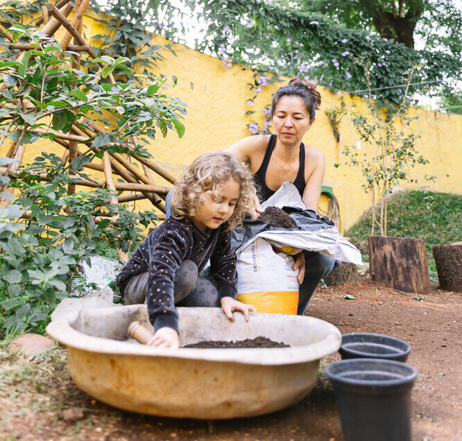 Cópia de PURII-81 (1)